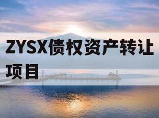 ZYSX债权资产转让项目