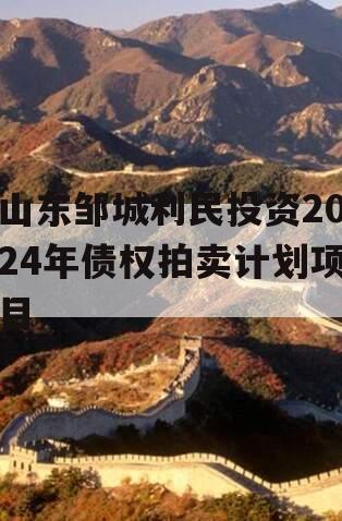 山东邹城利民投资2024年债权拍卖计划项目