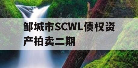 邹城市SCWL债权资产拍卖二期