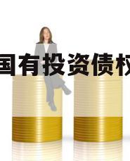 沈丘国有投资债权转让项目