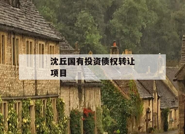 沈丘国有投资债权转让项目