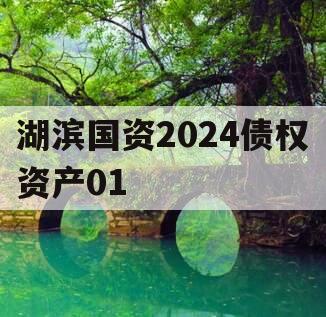 湖滨国资2024债权资产01