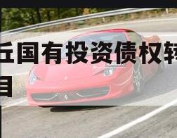 沈丘国有投资债权转让项目
