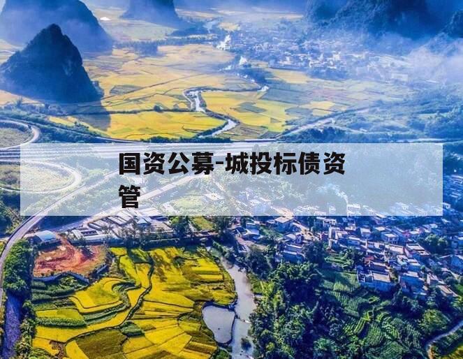 国资公募-城投标债资管
