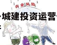 金乡城建投资运营债权资产