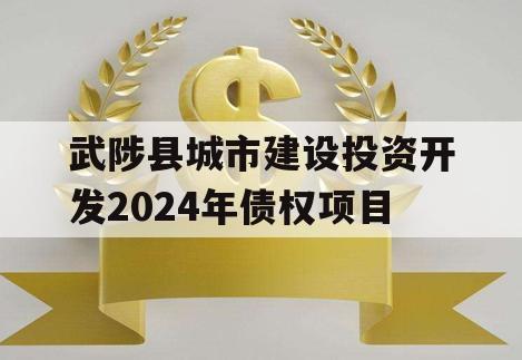 武陟县城市建设投资开发2024年债权项目
