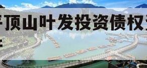 平顶山叶发投资债权资产