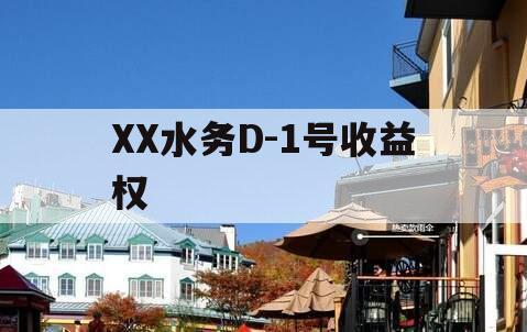 XX水务D-1号收益权