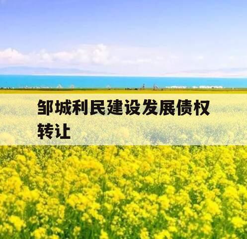 邹城利民建设发展债权转让