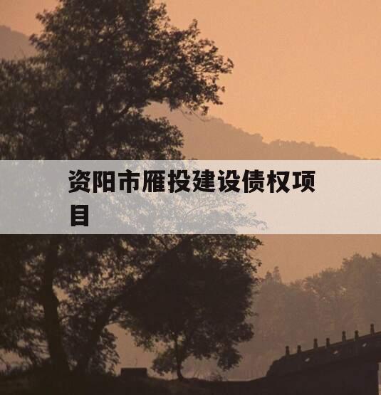 资阳市雁投建设债权项目