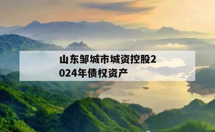 山东邹城市城资控股2024年债权资产