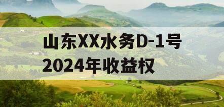 山东XX水务D-1号2024年收益权