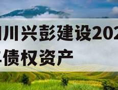四川兴彭建设2024年债权资产