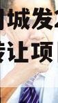 河南汤阴城发2024年债权转让项目城投债定融