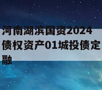 河南湖滨国资2024债权资产01城投债定融