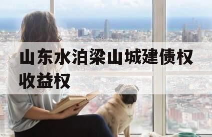 山东水泊梁山城建债权收益权
