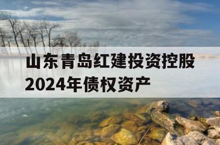 山东青岛红建投资控股2024年债权资产