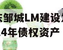 山东邹城LM建设发展2024年债权资产