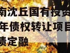河南沈丘国有投资2024年债权转让项目城投债定融