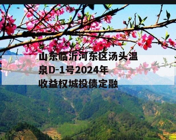 山东临沂河东区汤头温泉D-1号2024年收益权城投债定融