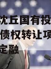 河南沈丘国有投资2024年债权转让项目城投债定融