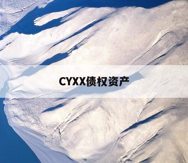 CYXX债权资产