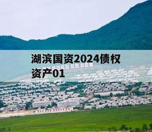 湖滨国资2024债权资产01