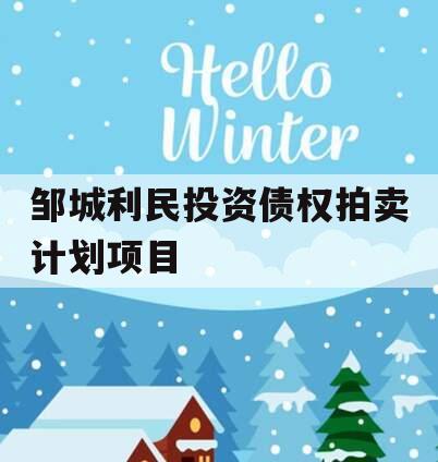 邹城利民投资债权拍卖计划项目