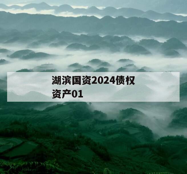 湖滨国资2024债权资产01