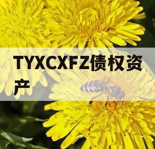 TYXCXFZ债权资产