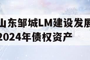 山东邹城LM建设发展2024年债权资产
