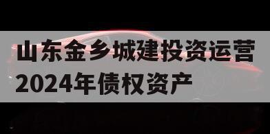 山东金乡城建投资运营2024年债权资产