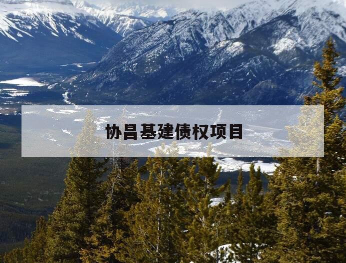 协昌基建债权项目