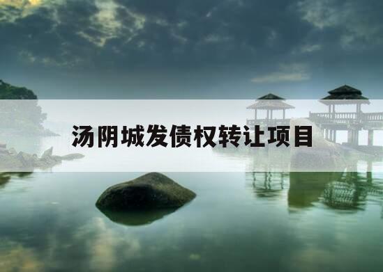 汤阴城发债权转让项目