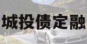城投债定融
