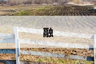 融